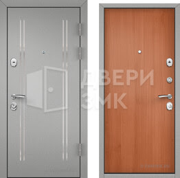 Дверь металлическая усиленная в дом ВД-10688