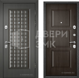 Дверь металлическая трехконтурная в дом ВД-10190