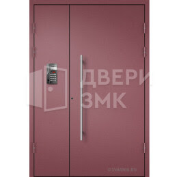 Дверь для установки в подъезд порошковая ДВП-15227