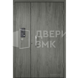 Подъездная дверь с домофоном, порошковый окрас ДВП-15366