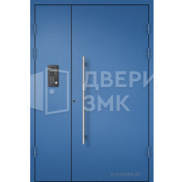 Двустворчатая дверь с порошковым окрасом ДВП-15364