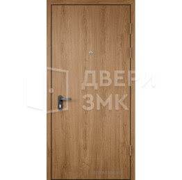 Входная дверь одностворчатая порошковая ТД-16221