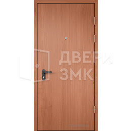 Дверь тамбурная глухая в подъезд ламинат — винорит ТД-16220