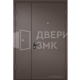 Дверь в квартиру двойное полотно ТД-16416