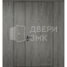 Дверь тамбурная глухая с перегородкой МДФ — скелет ТД-16462