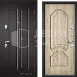 Дверь металлическая с замками KALE в дом ВД-8002